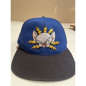 Head Start Animaniacs and The Brain 1995 Snapback Baseball Cap Tags Embroidered